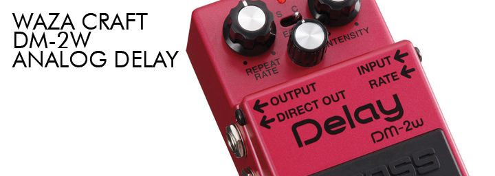BOSS DM-2W DM-2 waza craft analog delay bbd