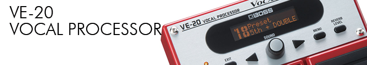 VE20